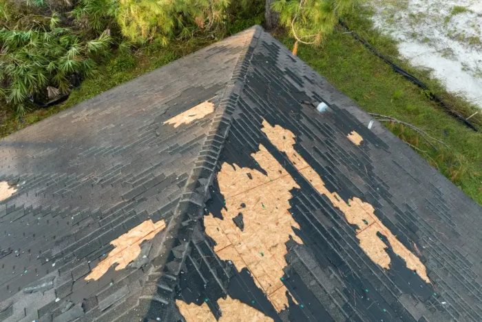 A Home with Signs of Needing a Roof Replacement Service in St. Augustine, FL
